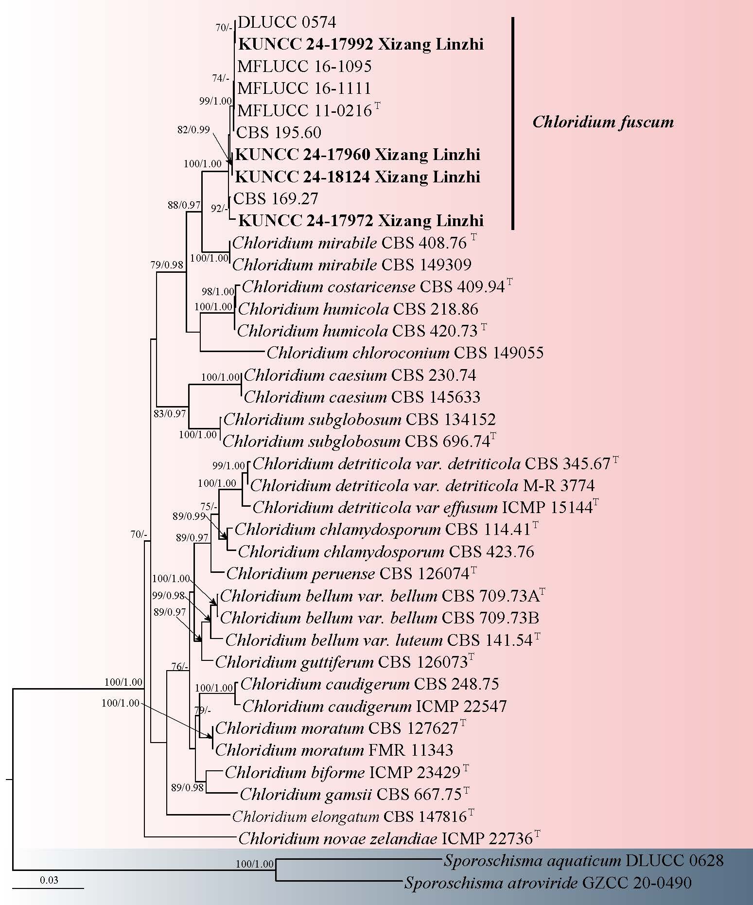 Figure 31